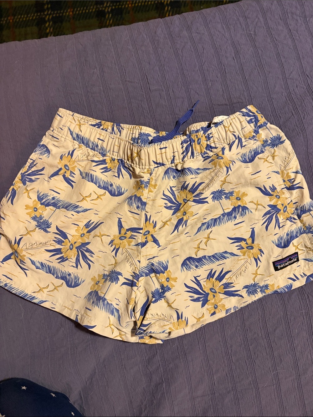 Patagonia Women's Baggies shorts
